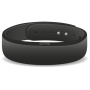 icon SmartBand