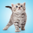 icon Kitten Sounds 3.0.0