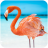 icon The Flamingo 1.0.9
