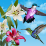 icon Birds Live Wallpaper Free