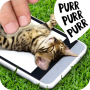 icon Pat the cat