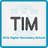 icon TIMGHSS 17.0