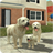 icon Dog Sim 213