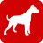 icon Dogo Creativo 1.0