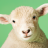 icon Sheep Sounds 3.0.1