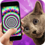 icon Cat Hypnotizer