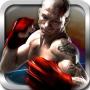 icon Pro 3D Boxing