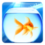 icon Gold Fish Live Wallpaper
