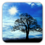 icon Blue Sky Live WallpaperFree