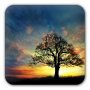 icon Sunset Hill Free LiveWallpaper