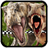 icon JurassicRace 19.0