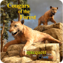 icon Cougars of the Forest