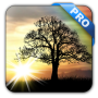 icon Sun Rise Pro Live Wallpaper