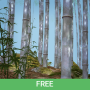 icon Bamboo Forest 3D 