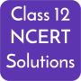icon Class 12 All Ncert Solutions