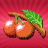 icon CherryBonus 1.0