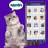 icon Cat Sound Prank Sim Translator 0.0.3