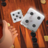 icon Backgammon 1.0