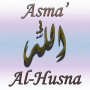 icon Asma