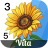 icon Vita Color 1.7.7