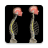 icon Kyphosis 1.2.1
