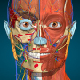 icon com.AnatomyLearning.Anatomy3DViewer3