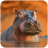icon The Hippo 1.0.1