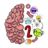 icon Brain Test 2 0.58