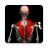 icon Anatomy 2.3.0