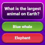 icon Trivia Quiz Game