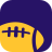 icon Vikings Football 8.4.3