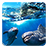 icon Dolphins Live Wallpaper 2.6