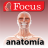 icon com.focusmedica.jaaspanish 1.7