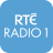 icon ie.rte.radio1 R_R1and 2.9.437.123