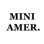 icon MINI AMER.