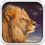 icon Wild Lion Live Wallpaper HD