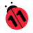 icon n11 14.3.1