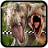 icon JurassicRace 20.0