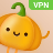 icon VPN Pumpkin 1.3.900