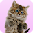 icon Dancing, Purring Cat 1.8.0