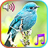 icon Birds Sounds Ringtones 1.6