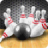 icon 3D Bowling 3.1