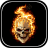 icon Skulls Live Wallpaper 1.0.4