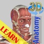icon 3D Bones and Organs