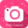 icon Wink Camera