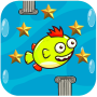 icon Star Fish Quest