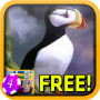 icon 3D Puffin Slots
