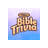 icon Bible Trivia Game 338