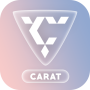 icon CARAT