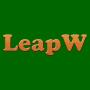 icon LeapW
